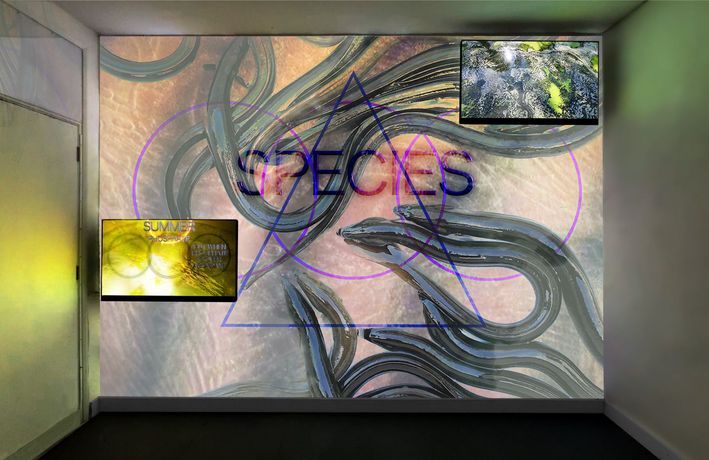 Meeting the Lough On Its Own Terms installation view