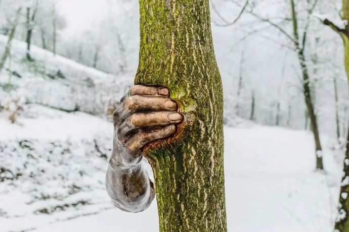 Giuseppe Penone, Toccare il tempo (To Touch the Time)