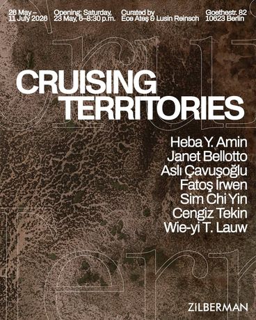 Fatoş İrwen, Terrain Series, 2020