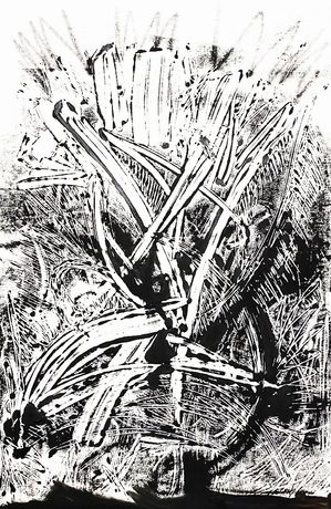 Entanglement Monotype 2022