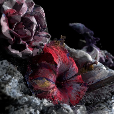 Compost (Flowers for Suzanne Clair)