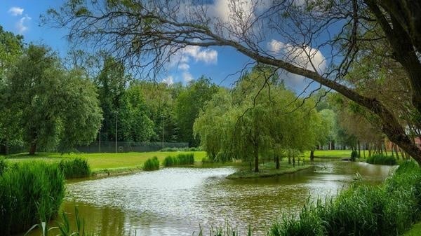 Le parc du domaine de Bellejame