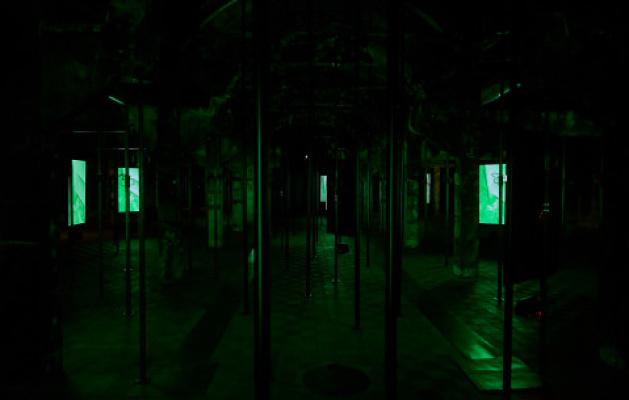 Carlos Aires installation view