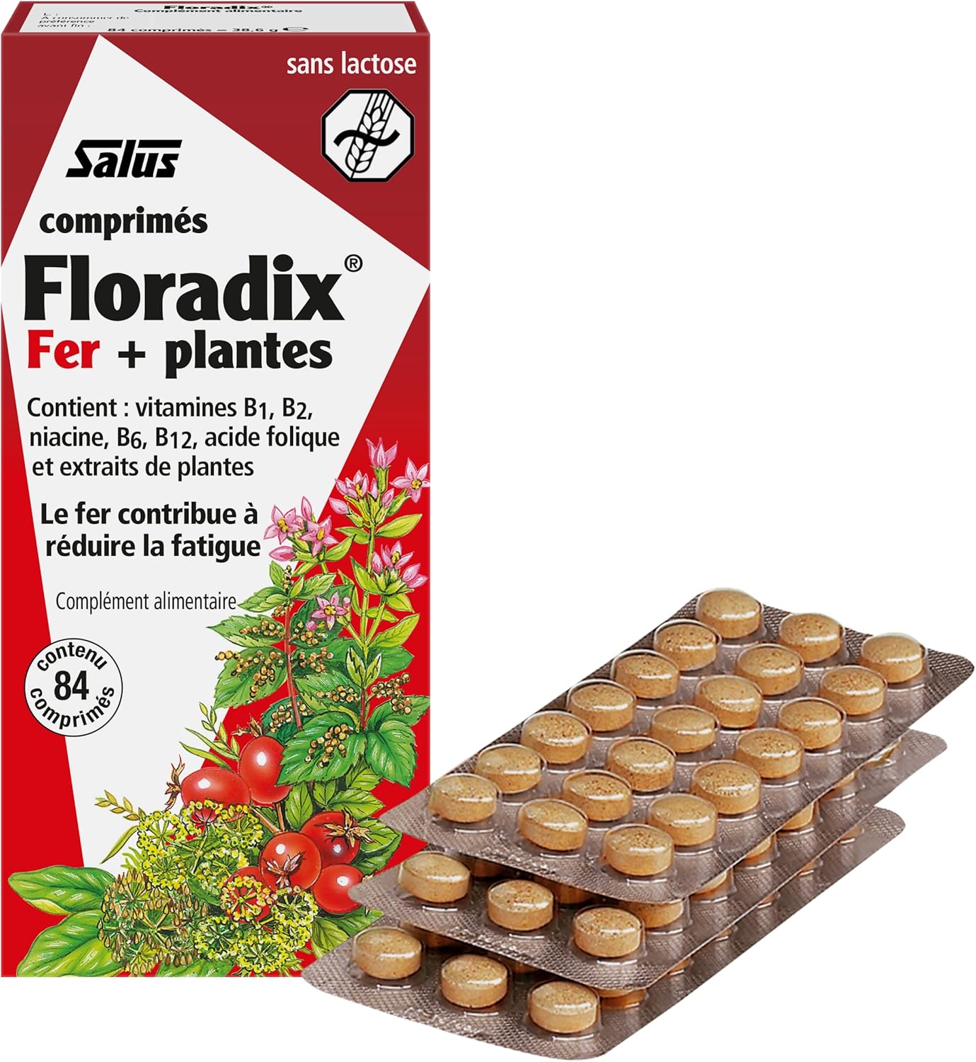 Salus Floradix 铁元胶囊