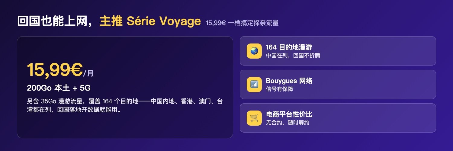 Voyage 旅行款回国上网重点