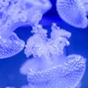 Anytime 灵活票 · £31.50 起