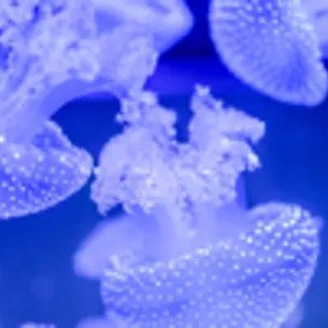 Anytime 灵活票 · £31.50 起