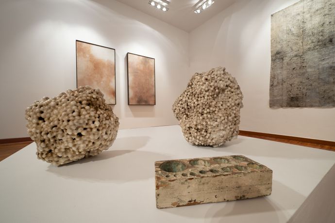 Silvia Infranco《Trame organiche》：材料与生命的有机脉络