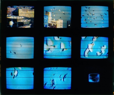 Eugènia Balcells《From the center》：一场科技与诗意交融的沉浸体验