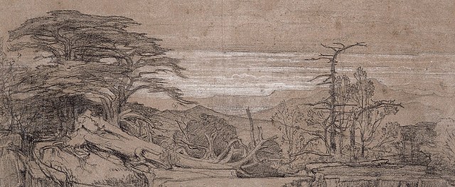 地中海风景画合集《雪松,地中海山顶的绿色王冠》:三位画家笔下的自然颂歌