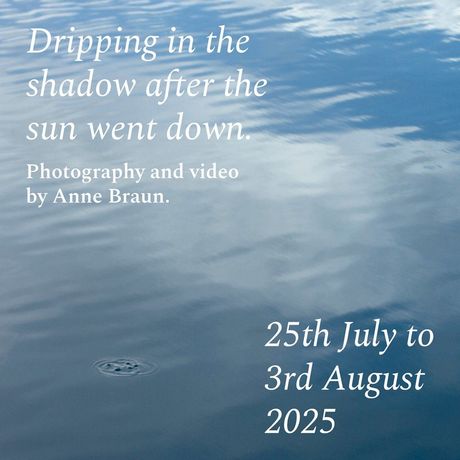 Anne Braun《Dripping in the shadow after the sun went down.》:流动与凝固之间的感知之旅
