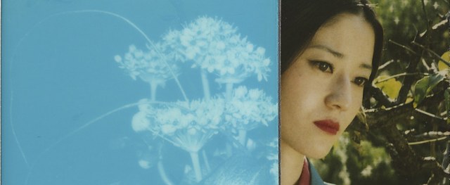荒木经惟《POLARAKI:一千张宝丽来照片》:用影像记录生命的日记
