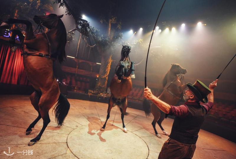 Cirque Bormann : Arbre 巴黎2025-2026来了:八代家族传承,魔幻马戏新体验