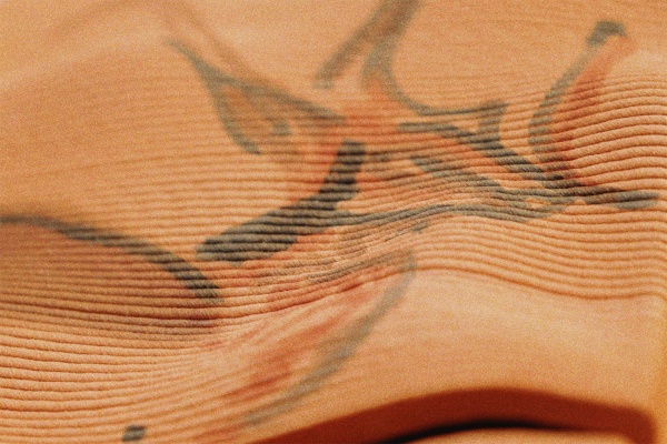 数字艺术与史前遗产对话 《Perpetual Present》:AI重塑阿尔塔米拉洞穴壁画