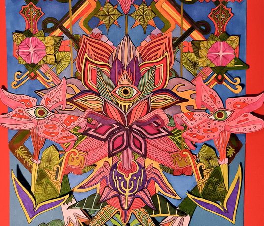 Germán Bonafín《Animalia und Psychedelia: Vom Chaos zum Kosmos》：从混沌到宇宙的艺术之旅