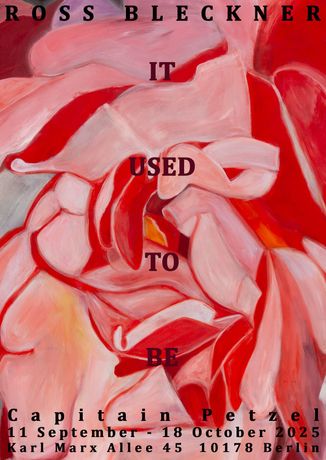 Ross Bleckner《It Used To Be》：抽象光影中的逝去与回忆