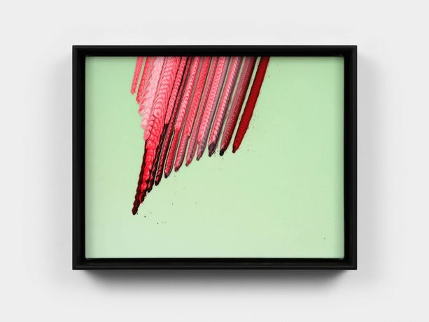 Tauba Auerbach《Clepsydra》：科学与艺术的流动边界