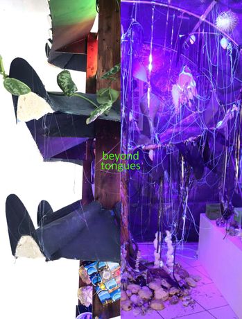 多元文化与感官共振|“beyond tongues. Synesthetic Transmission”:艺术如何超越语言?