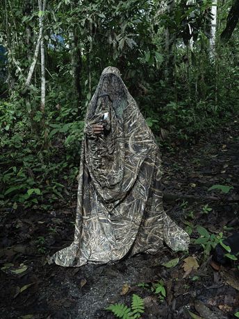 Isadora Romero《Notes on How to Build a Forest》:森林、记忆与共生的多重叙事