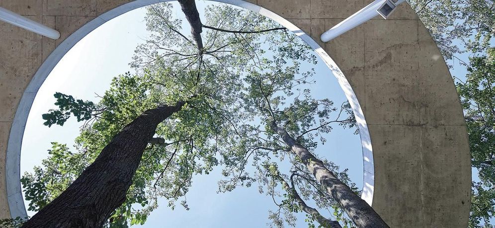 立陶宛建筑与自然的对话 《Lithuania. Archi / Tree / tecture》：探讨城市与生态的共生关系