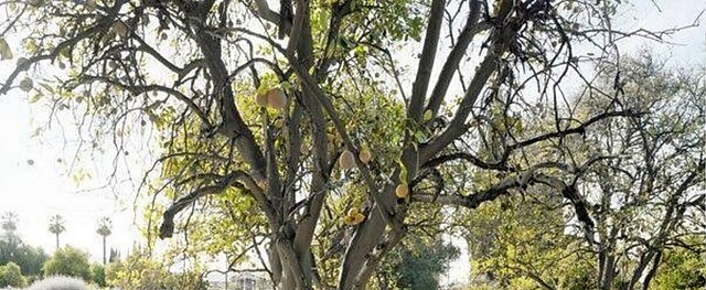 美国摄影艺术集萃《美国影像》：穿越百年影像，见证社会变迁