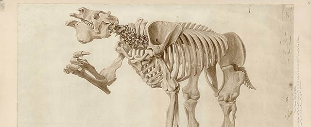 理查德·欧文《自然遗产》:科学与艺术交汇的自然历史之旅