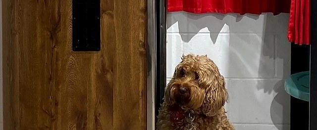 照相亭百年历史 《咔嚓！照相亭的百年历史》：一场穿越流行文化与摄影史的时光之旅