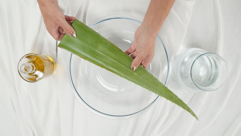 Niya B《Re:Rooted》:沉浸式体验多物种生态与未来