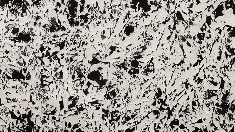 Joan Witek《Black as a Living Colour》:黑色的无限可能