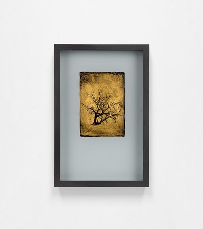 自然与气候议题群展《A Threatened Landscape》：艺术对环境危机的深刻回应