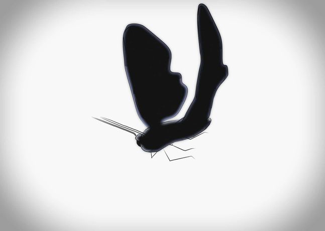 Nellie Lindquist《Make the World》:用微小行动撬动世界的艺术实验