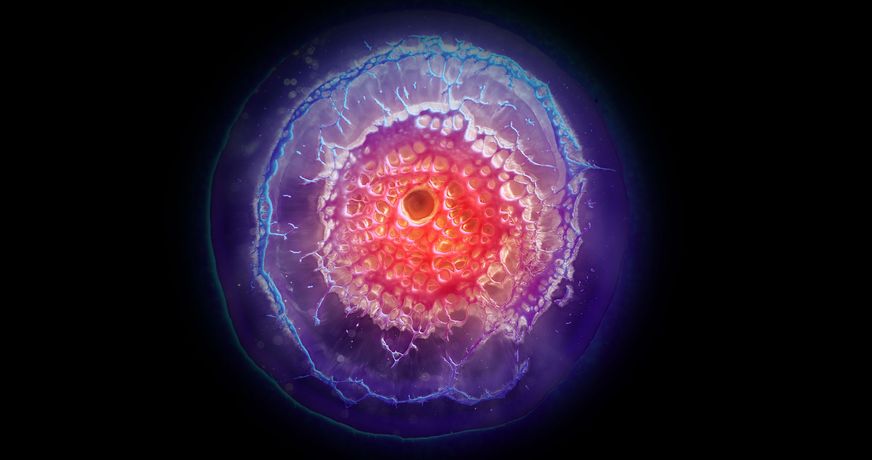 数字艺术与科学幻想合集《ORIGINS》：沉浸式探索生命起源的奇迹