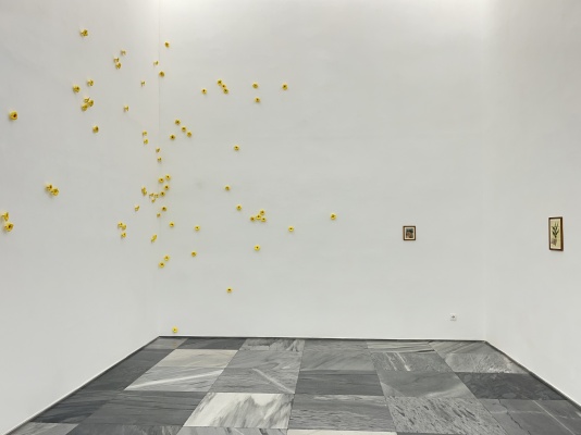 Mauro Piva《自然与记忆》:瓷花与水彩间的精神诗意