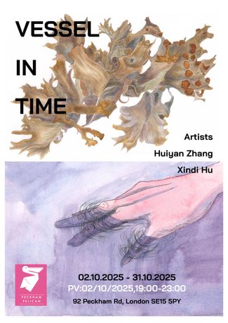 生态与记忆的艺术对话《Vessel in Time》:非线性叙事下的人与自然