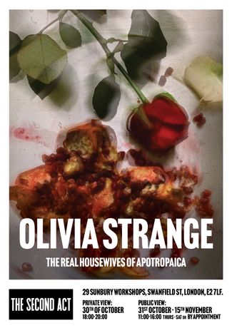 Olivia Strange《The Real Housewives of Apotropaica》:神话与酷儿视角的艺术重写