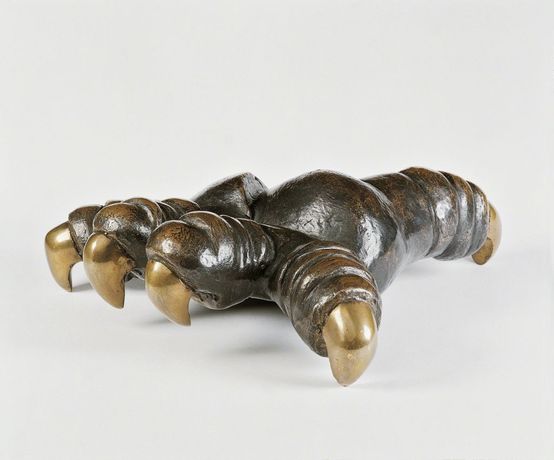 人与动物·共生反思|《Human Farm》:多元视角下的身份与自然