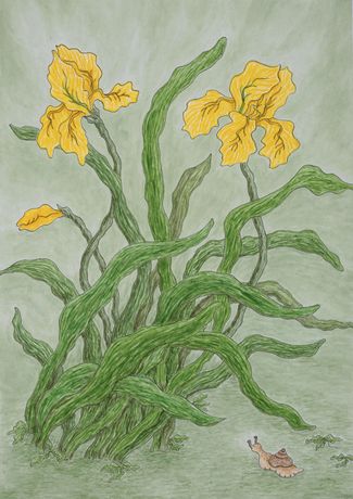 Hyunia Jung《Green Breeze》：水彩下的植物生命力与静谧之美