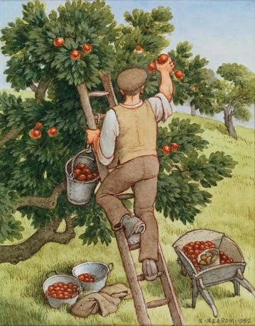 Norman Neasom《Country Life Memories》：温柔回望英伦田园与日常