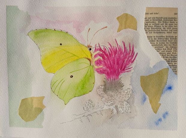 Anni Kaufhold动物主题展《Vernissage》:诗意与绘画的交融