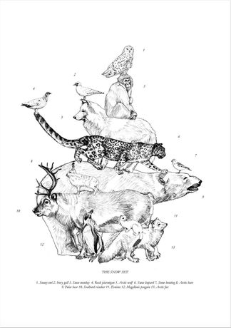 Anna Walsh《Animalium Miscellaneum》:动物与幻想的版画对话