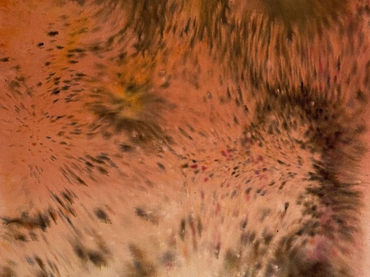 巴西当代艺术家合集《Perquirere》:探索身体、领土与语言的多元对话