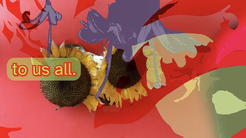 多元共存的渴望《The Desire for Being Many》:聚焦反女权与LGBTQI议题的柏林群展