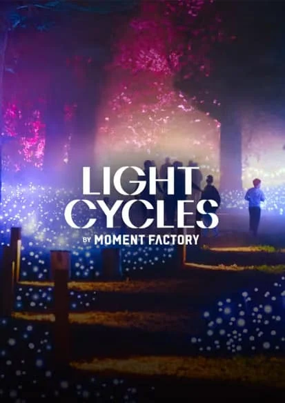数字艺术与自然融合|Light Cycles:夜幕下的沉浸式光影体验