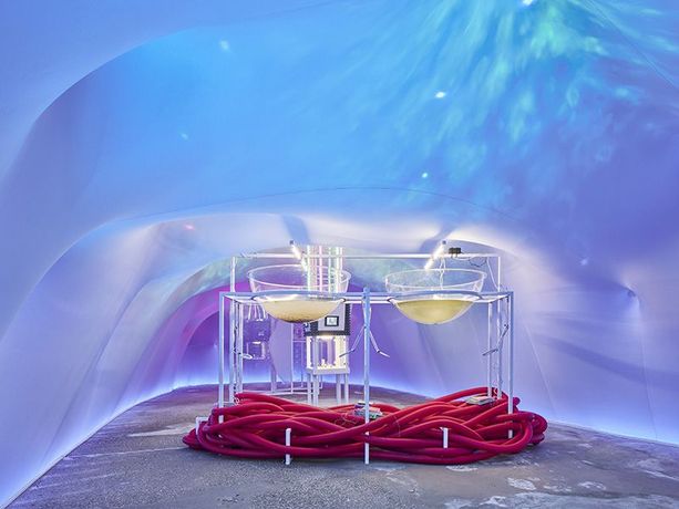 生态建筑与水体议题|《Water Parliaments: Projective Ecosocial Architectures》:探索人与水的未来共生