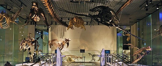 自然与科技的日本缩影｜国立科学博物馆常设展：探索地球与日本的奥秘