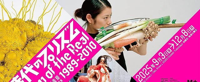 日本当代艺术合集《时代的棱镜：日本的艺术实践 1989-2010》：一场穿越变革时代的艺术之旅