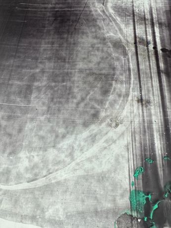 Nikolas Gambaroff《A Poison Tree》:媒介实验与社会隐喻的当代对话