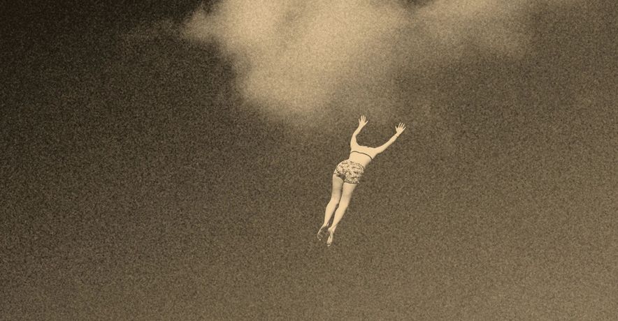 Paul Cupido《花鳥風月》:在自然的流转中体悟自我