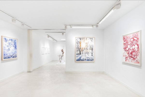 Donde habitan los sueños