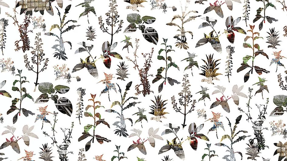 Igor Eškinja. The Dreams of Creation